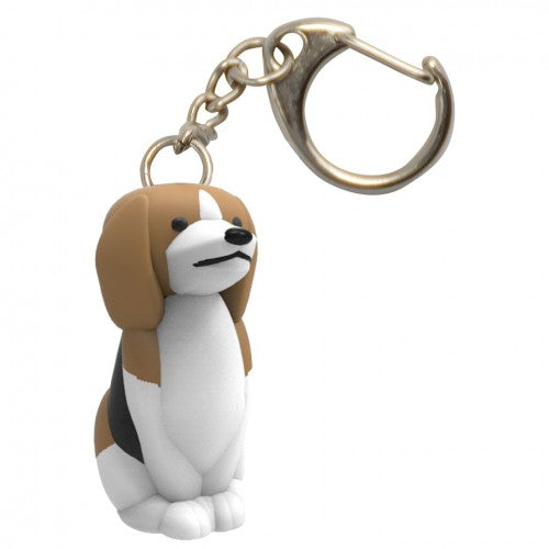 Beagle Light                Key Gear