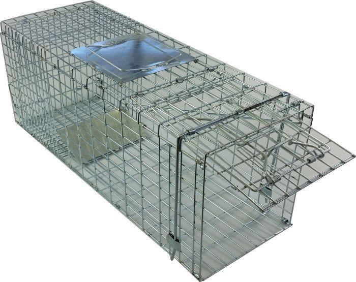 Opposum Trap - Folding Cage Type